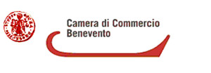 camera commercio benevento