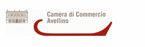 camera commercio avellino