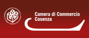 camera commercio cosenza